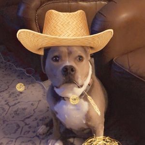 Meet your Posher, Nick